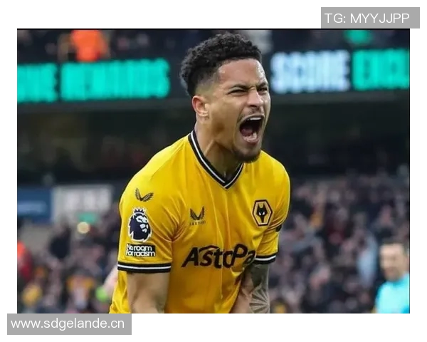 曼联计划冬窗引进狼队中场戈麦斯报价5000万欧球员表示愿意加盟 曼联计划冬窗引进狼队中场戈麦斯报价5000万欧球员表示愿意加盟