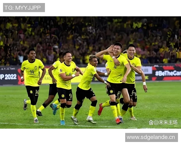 七名归化球员起诉马来西亚足协索赔因违规禁赛一年事件引发关注 七名归化球员起诉马来西亚足协索赔因违规禁赛一年事件引发关注