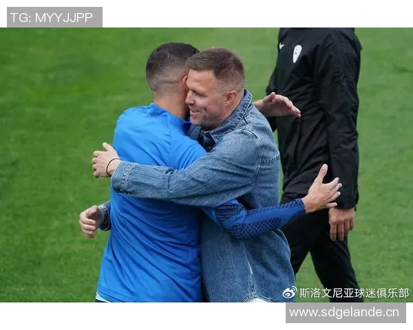 意甲球员身价飙升榜单揭晓霍伊伦普利西奇等新星引关注